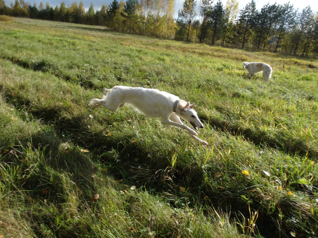 DSC09095