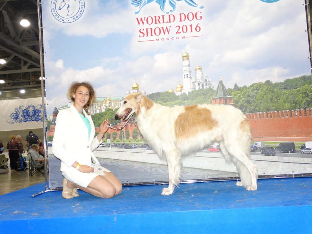 dsc00886